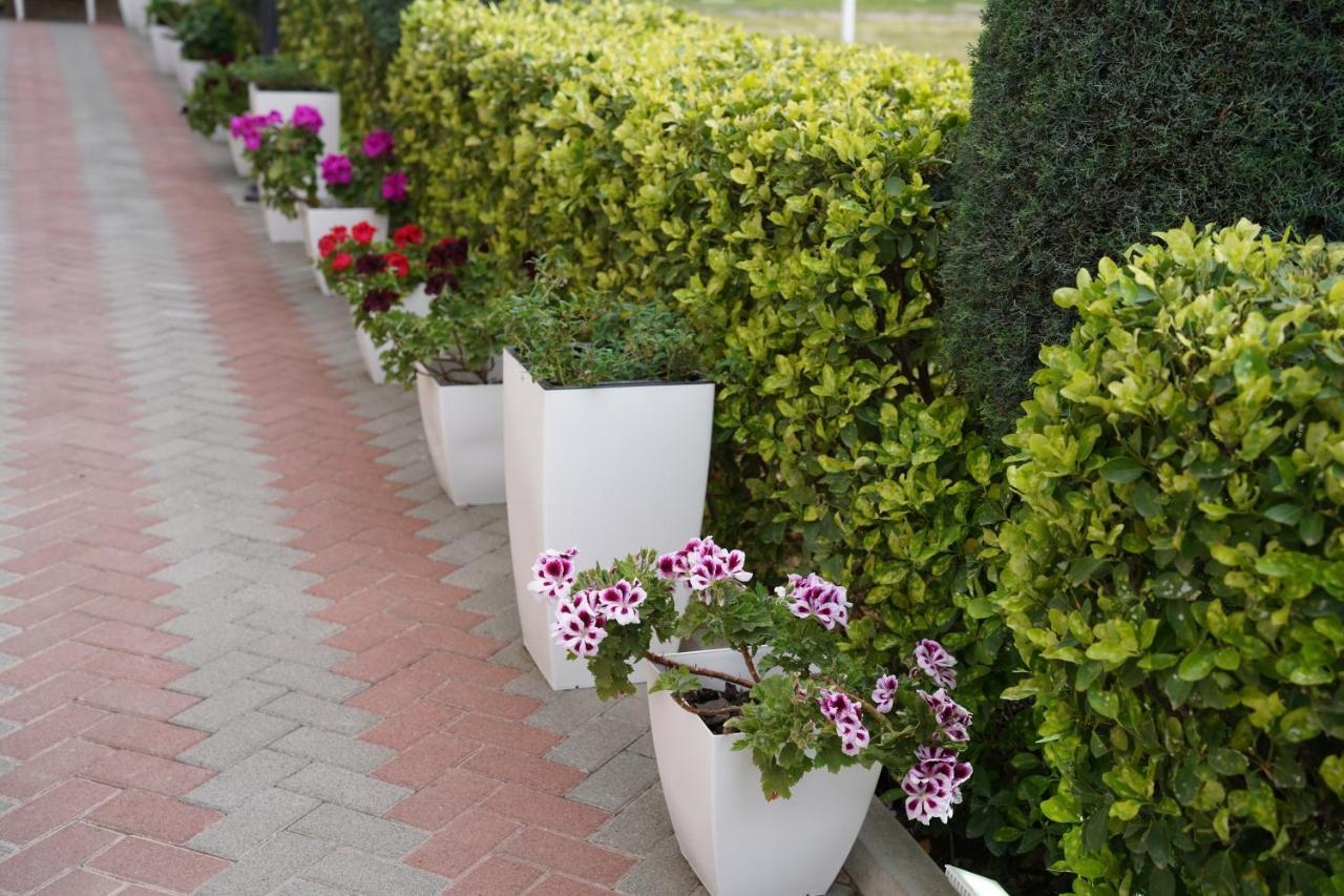 Apartments Costa Azzurra Velipojë Exterior foto